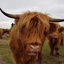 2020 January White Edge Walk