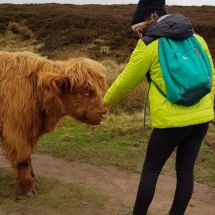 2020 January White Edge Walk