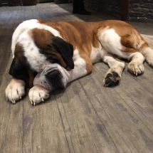 2020 January Ski Meet Tignes