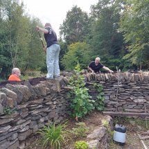 Planting the walls