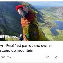 Idwal visitors
